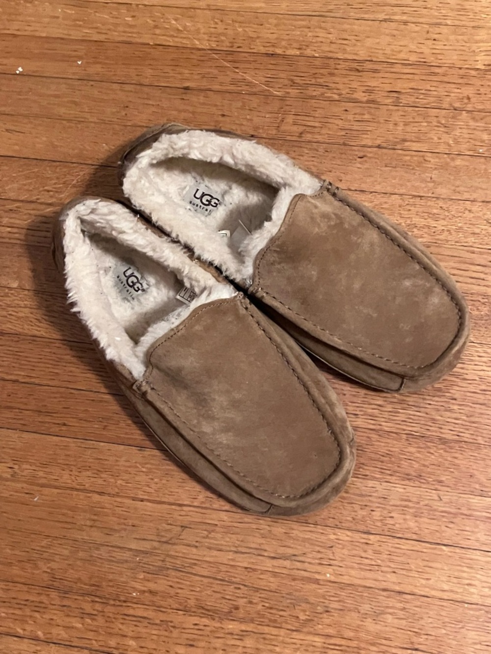 Ugg Ascot Slipper - Picture 4 of 5